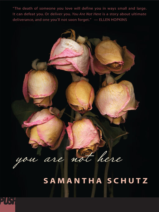 Title details for You Are Not Here by Samantha Schutz - Wait list